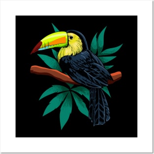 Bird of paradise - drawing of toucan Posters and Art